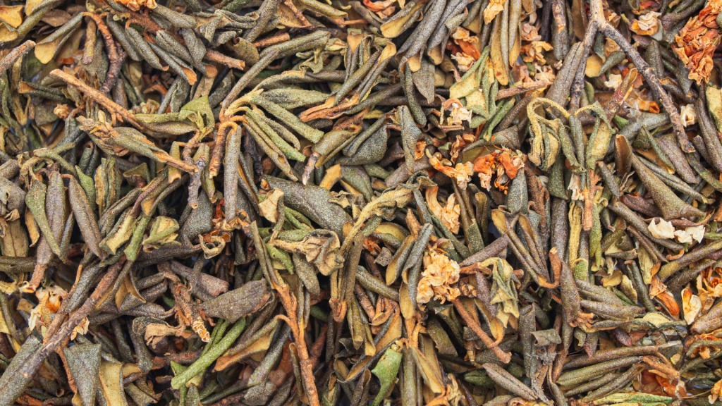 10.09-2.jpg 10.09-2.jpg