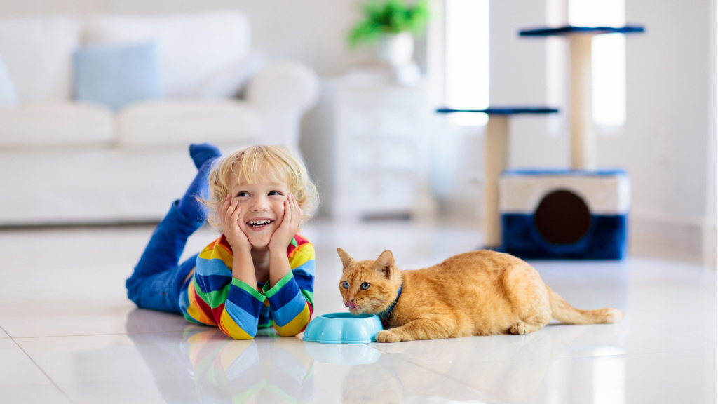 PVCRAC 7290 - 02.jpg