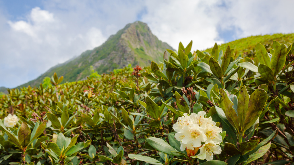 10.09-1.jpg 10.09-1.jpg