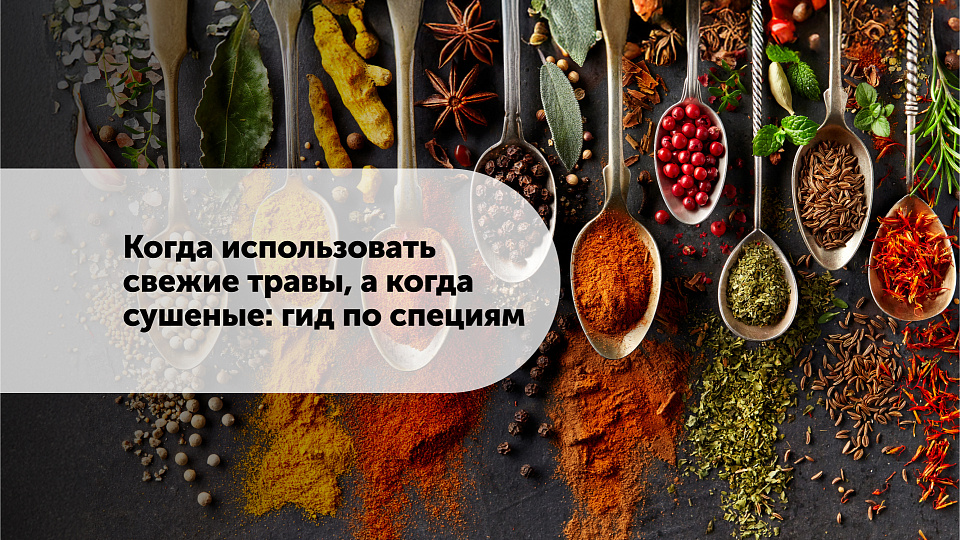 Когда использовать свежие травы, а когда сушеные: гид по специям