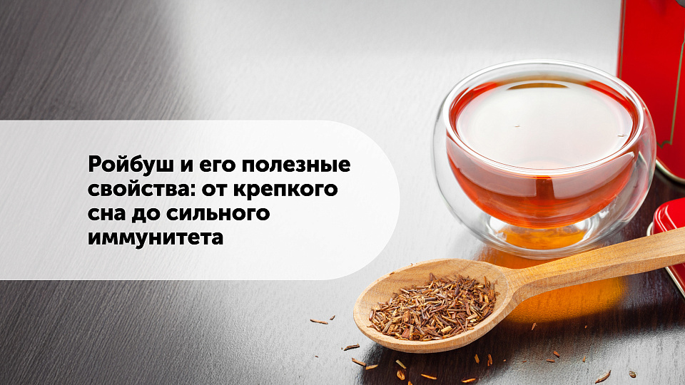 Ройбуш и его полезные свойства: от крепкого сна до сильного иммунитета