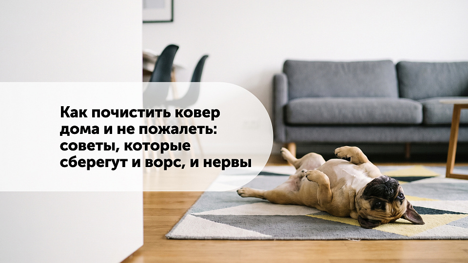 Как почистить ковер дома и не пожалеть: советы, которые сберегут и ворс, и нервы
