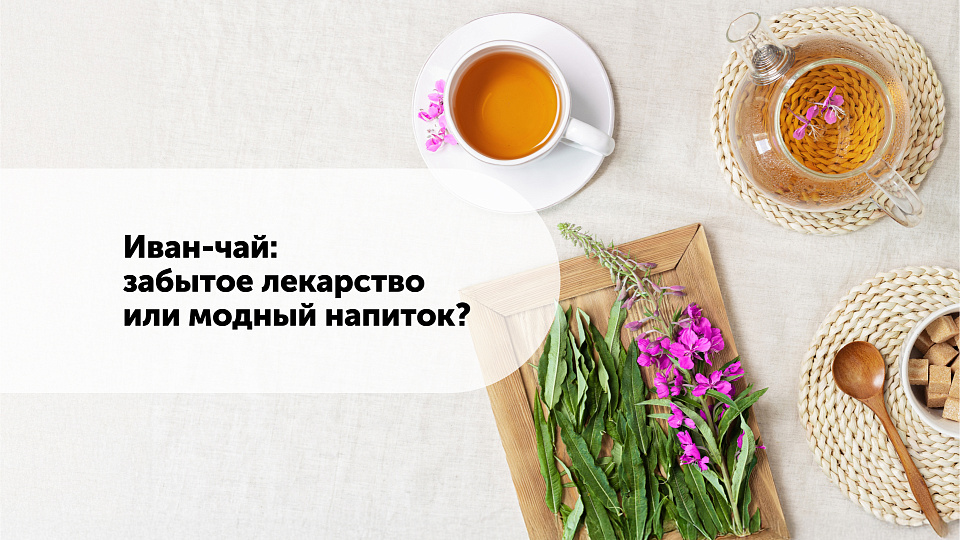 Иван-чай: забытое лекарство или модный напиток?
