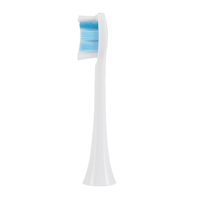polaris-tbh-0301-m-2